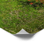 Wildblumen und Berge Poster (Ecke)