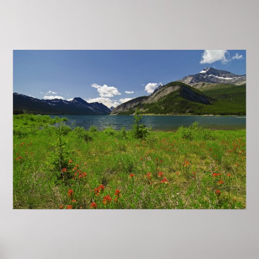 Wildblumen und Berge Poster (Vorne)