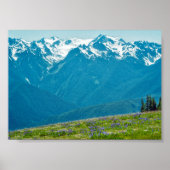 Wildblumen und Berge Poster (Vorne)