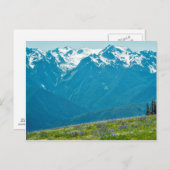 Wildblumen und Berge Postkarte (Vorne/Hinten)