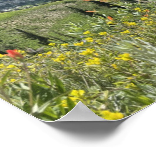 Wildblumen und Berge von Utah Poster (Ecke)