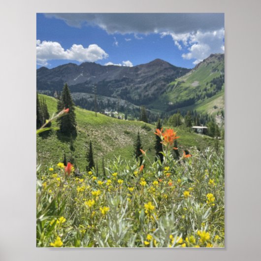 Wildblumen und Berge von Utah Poster (Vorne)