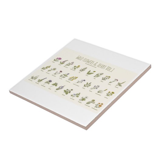 Wildblumen und Kräuter Fliese (Seite)