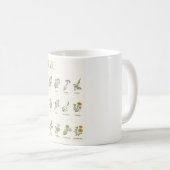 Wildblumen und Kräuter Kaffeetasse (VorderseiteRechts)