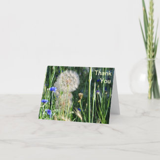 Wildblumen und Puffball, danke