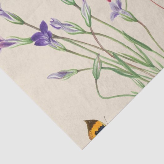 Wildblumen und Schmetterlinge Blumengarten Seidenpapier (Ausschnitt)