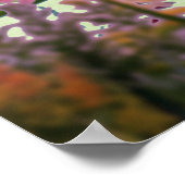 Wildblumen und Stars Poster (Ecke)