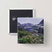 Wildblumen und Versteckter See, Shrubby Button (Vorne & Hinten)