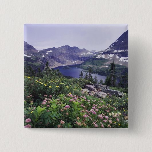 Wildblumen und Versteckter See, Shrubby Button (Vorderseite)