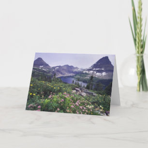 Wildblumen und Versteckter See, Shrubby Karte
