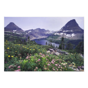Wildblumen und versteckter See, Strauchartig Fotodruck