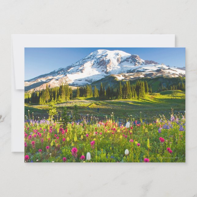 Wildblumen und Wanderer (Vorderseite)