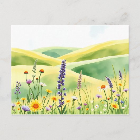 Wildblumen und Wiesen Postkarte (Vorderseite)