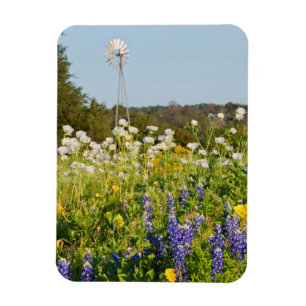 Wildblumen und Windmühle im Land der Texas-Hügel Magnet