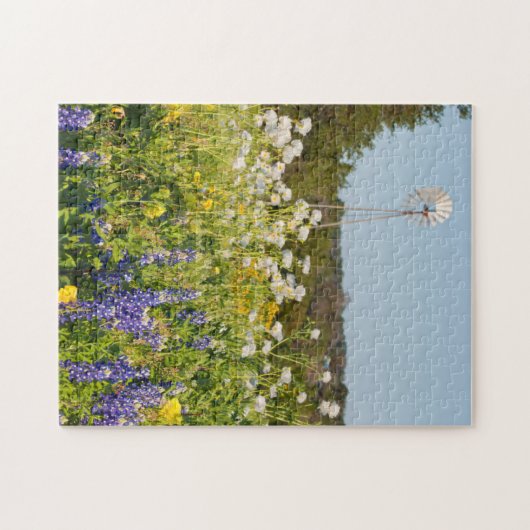 Wildblumen und Windmühle im Land der Texas-Hügel Puzzle (Horizontal)