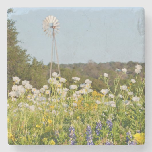 Wildblumen und Windmühle im Land der Texas-Hügel Steinuntersetzer (Vorderseite)