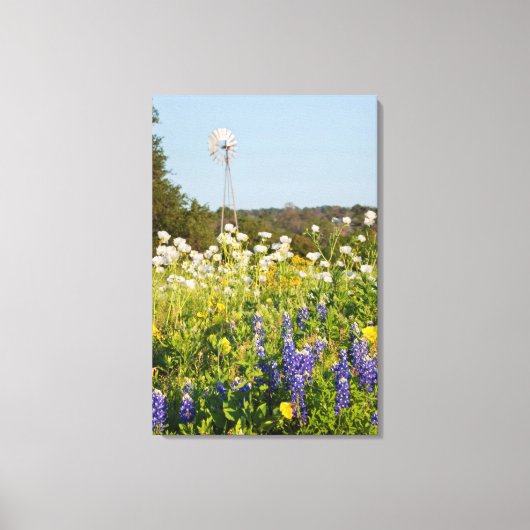Wildblumen und Windmühle im Land Texas Hill Leinwanddruck (Vorderseite)