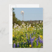 Wildblumen und Windmühle im Land Texas Hill Postkarte (Vorne/Hinten)