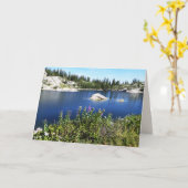 Wildblumen, Utah, Leere Gruß Karte (Gelbe Blume)