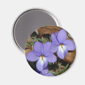 Wildblumen Vögel-Foot Violet III Geschenke und Bek Magnet (Vorderseite/Rückseite)
