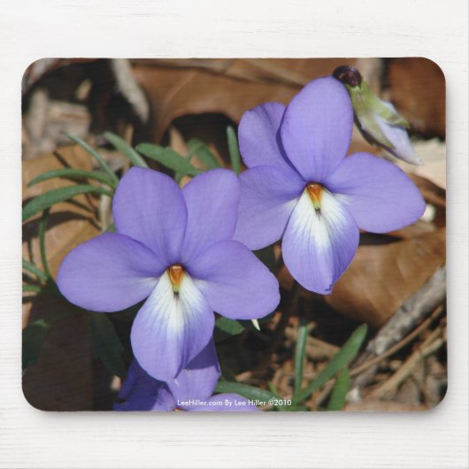 Wildblumen Vögel-Foot Violet III Geschenke und Bek Mousepad (Vorne)