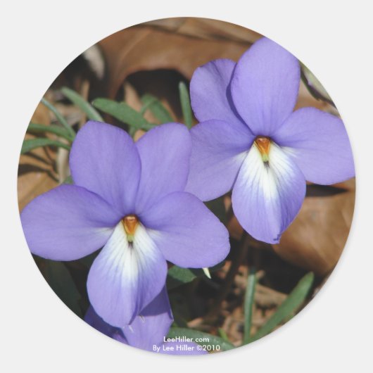 Wildblumen Vögel-Foot Violet III Geschenke und Bek Runder Aufkleber (Vorderseite)