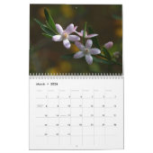 Wildblumen von Australien Kalender (Mär 2026)