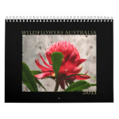 Wildblumen von Australien Kalender (Titelbild)