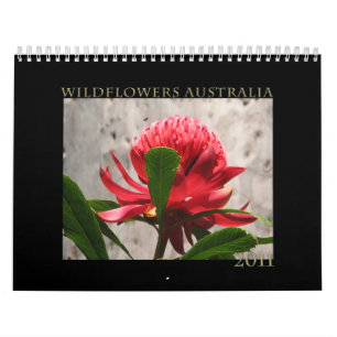 Wildblumen von Australien Kalender