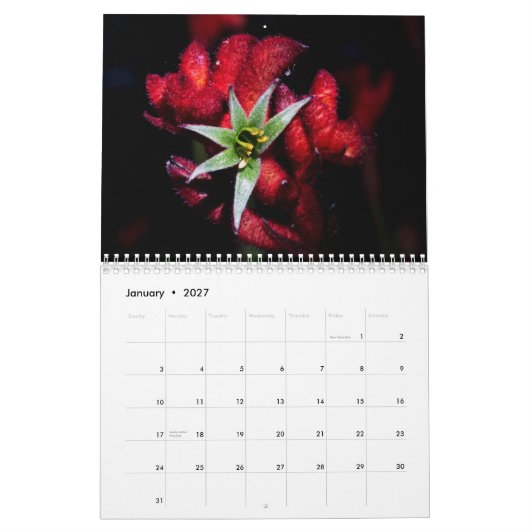 Wildblumen von Australien Kalender (Jan 2027)