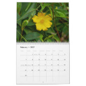 Wildblumen von Australien Kalender (Feb 2027)