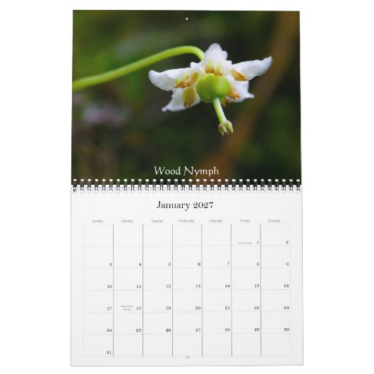 Wildblumen von Butte mit Haube Kalender (Jan 2027)