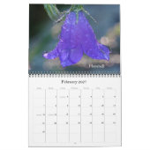 Wildblumen von Butte mit Haube Kalender (Feb 2027)