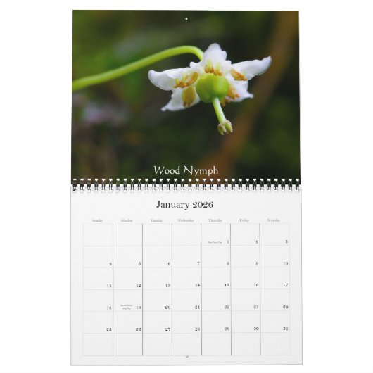 Wildblumen von Butte mit Haube Kalender (Jan 2026)