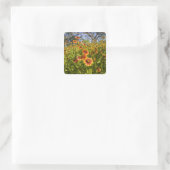 Wildblumen von Firewheels Gaillardia pulchella Quadratischer Aufkleber (Tasche)