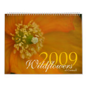 Wildblumen von Kalender Cornwalls 2009 (Titelbild)