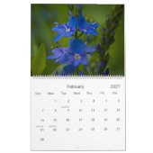 Wildblumen von Kalender Cornwalls 2009 (Feb 2027)