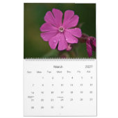 Wildblumen von Kalender Cornwalls 2009 (Mär 2027)