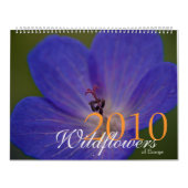 Wildblumen von Kalender Europas 2010 (Titelbild)
