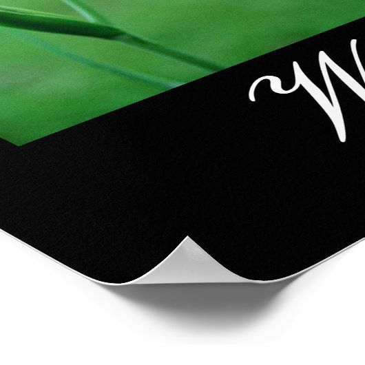 Wildblumen von Louisiana Poster (Ecke)