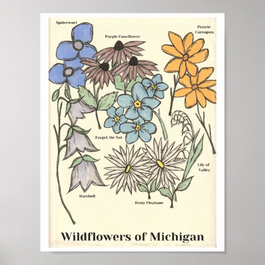 Wildblumen von Michigan Handgezeichneter Kunstdruc Poster (Vorne)