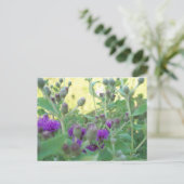 Wildblumen von Oklahoma Postkarte (Stehend Vorderseite)