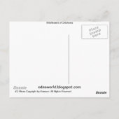 Wildblumen von Oklahoma Postkarte (Rückseite)