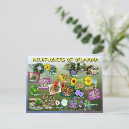 Wildblumen von Oklahoma Postkarte 19 r (Stehend Vorderseite)
