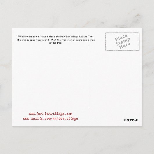 Wildblumen von Oklahoma Postkarte 19 r (Rückseite)