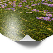 Wildblumen von Penstemon 2 Fotodruck (Ecke)