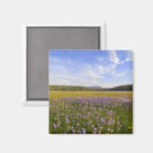 Wildblumen von Penstemon 2 Magnet (Vorderseite/Rückseite)
