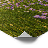 Wildblumen von Penstemon 2 Poster (Ecke)