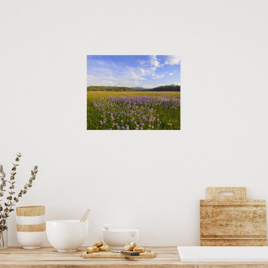 Wildblumen von Penstemon 2 Poster (Küche)