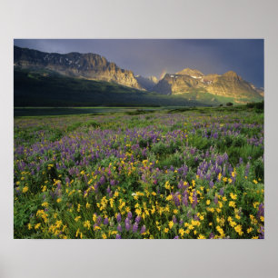 Wildblumen von Präirie füllen Wiese nahe See Poster